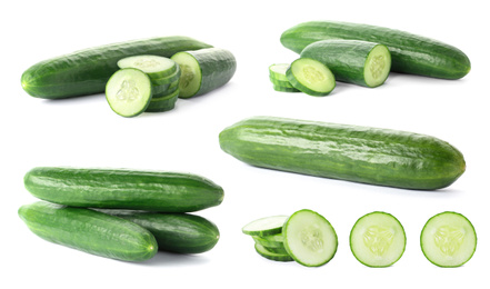 Image of Set with sliced cucumbers on white background