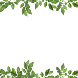Image of Frame of tree branches with green leaves isolated on white