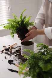 Woman planting fern at white table indoors, closeup