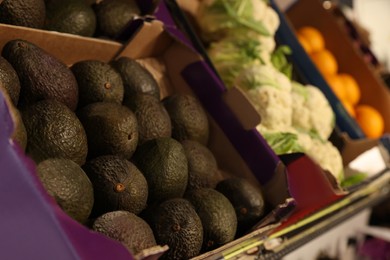 Many fresh avocados and cauliflowers in containers at market, closeup