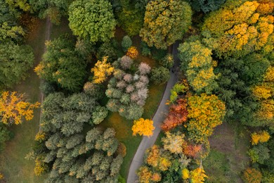 Image of Aerial view of beautiful autumn park with path