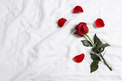 Photo of Honeymoon. Red rose and petals on bed, top view. Space for text