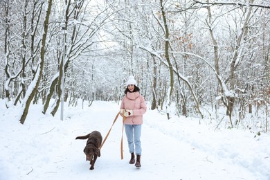 Photo of Woman walking with adorable Labrador Retriever dog in snowy park