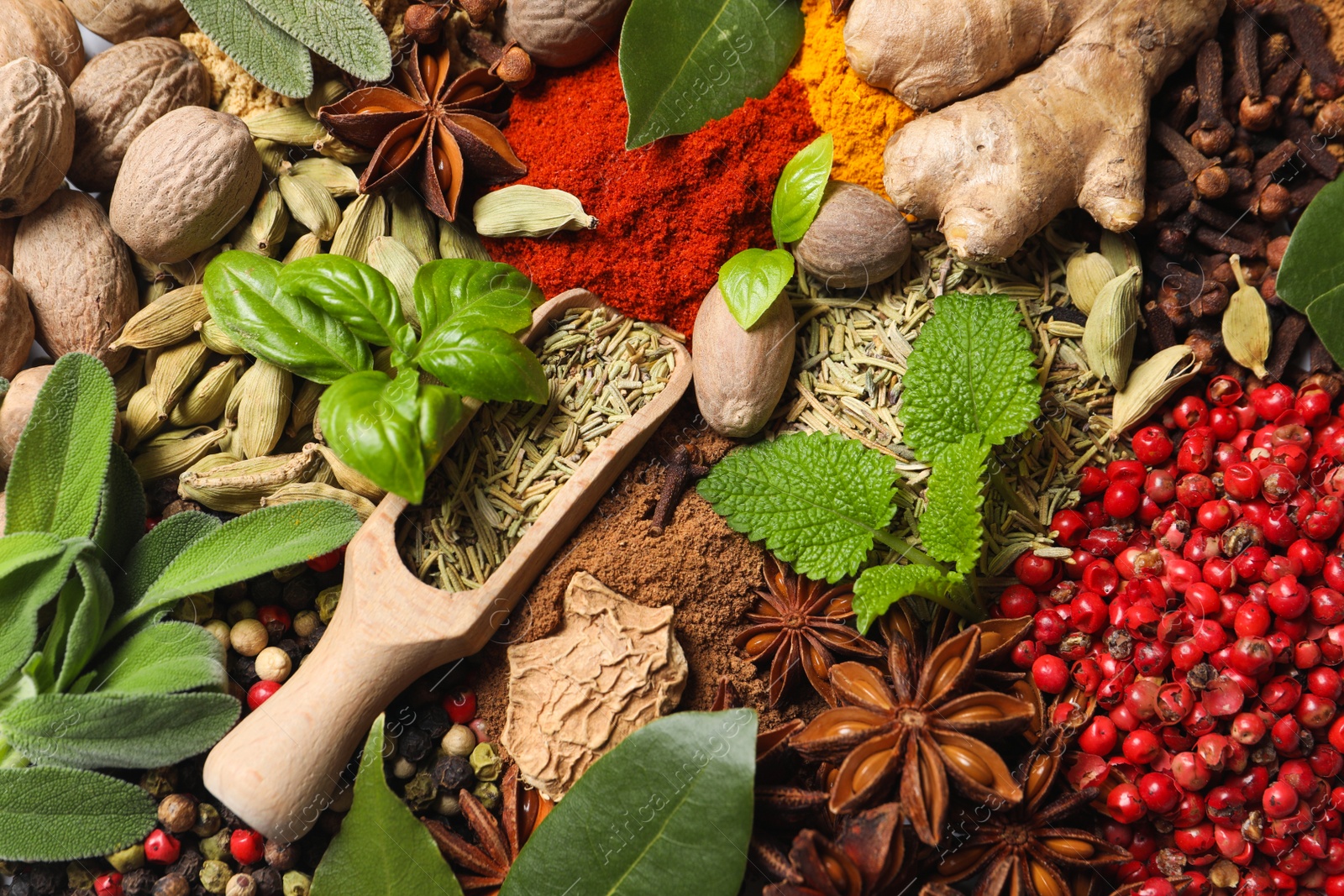 Photo of Different fresh herbs with aromatic spices as background, top view