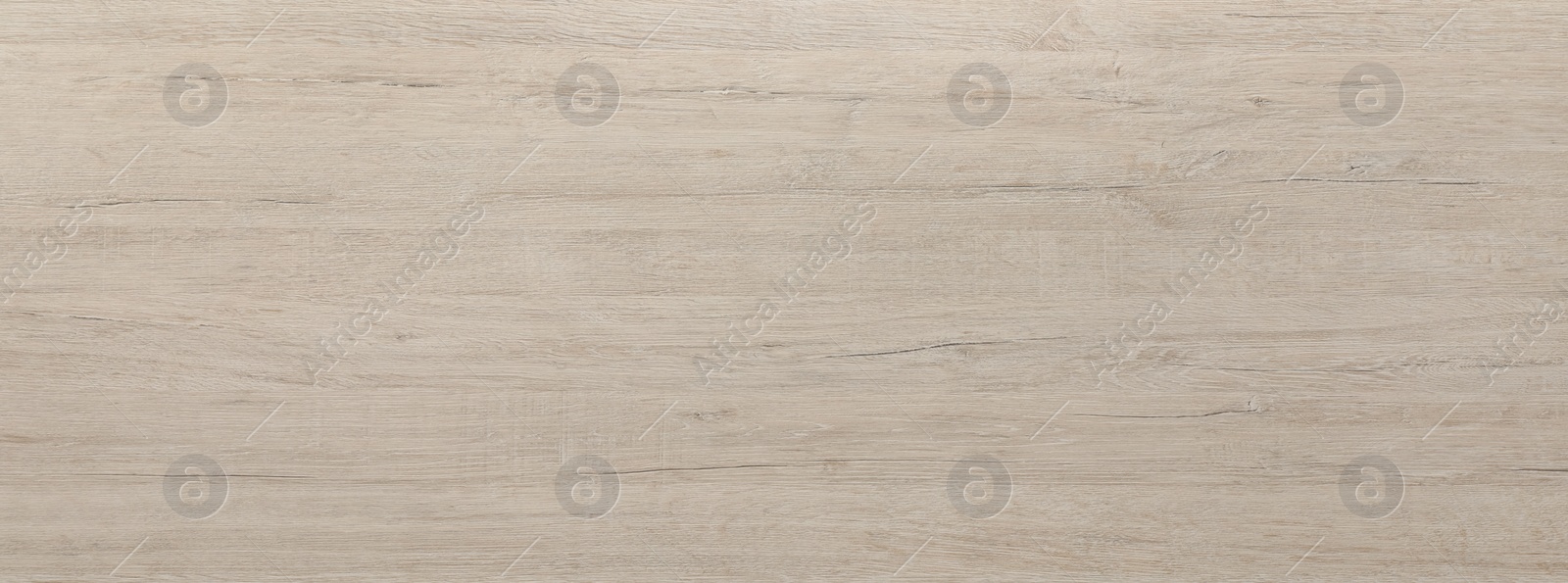 Image of Texture of white wooden surface as background. Banner design