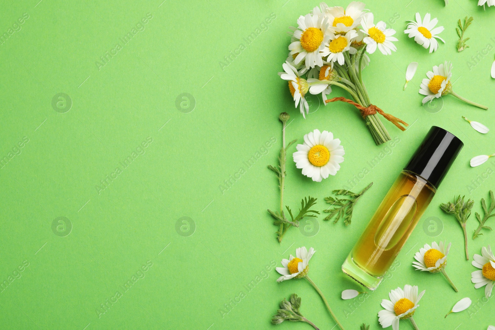 Photo of Flat lay composition with chamomile flowers and cosmetic bottle of essential oil on color background. Space for text