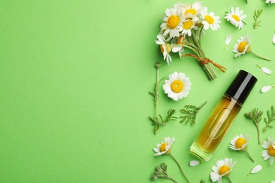 Flat lay composition with chamomile flowers and cosmetic bottle of essential oil on color background. Space for text