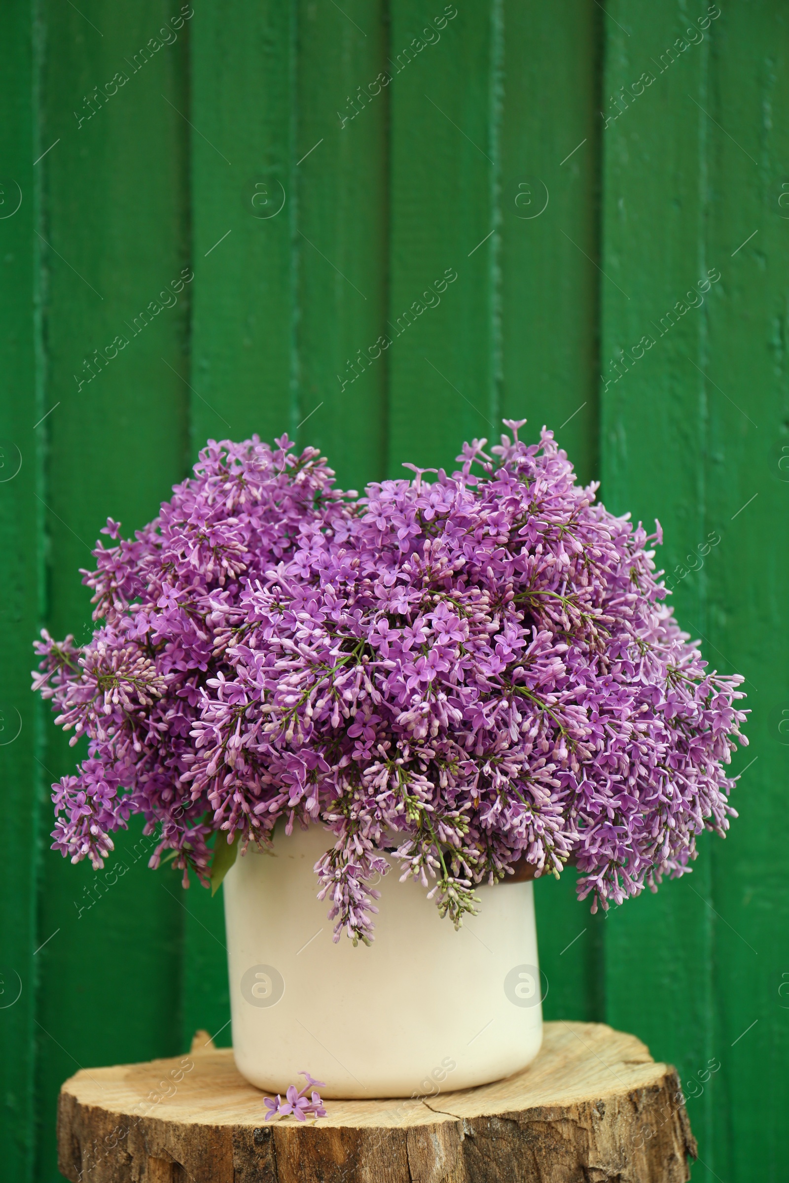 Photo of Beautiful lilac flowers in vase on wooden stump against green background
