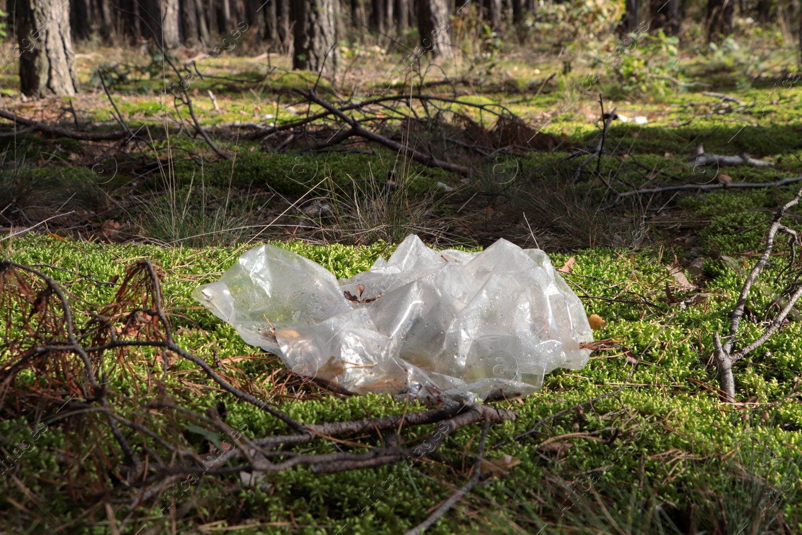 Photo of Disposable polyethylene bag on grass in forest. Recycling problem