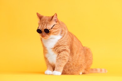 Photo of Cute ginger cat in stylish sunglasses on yellow background