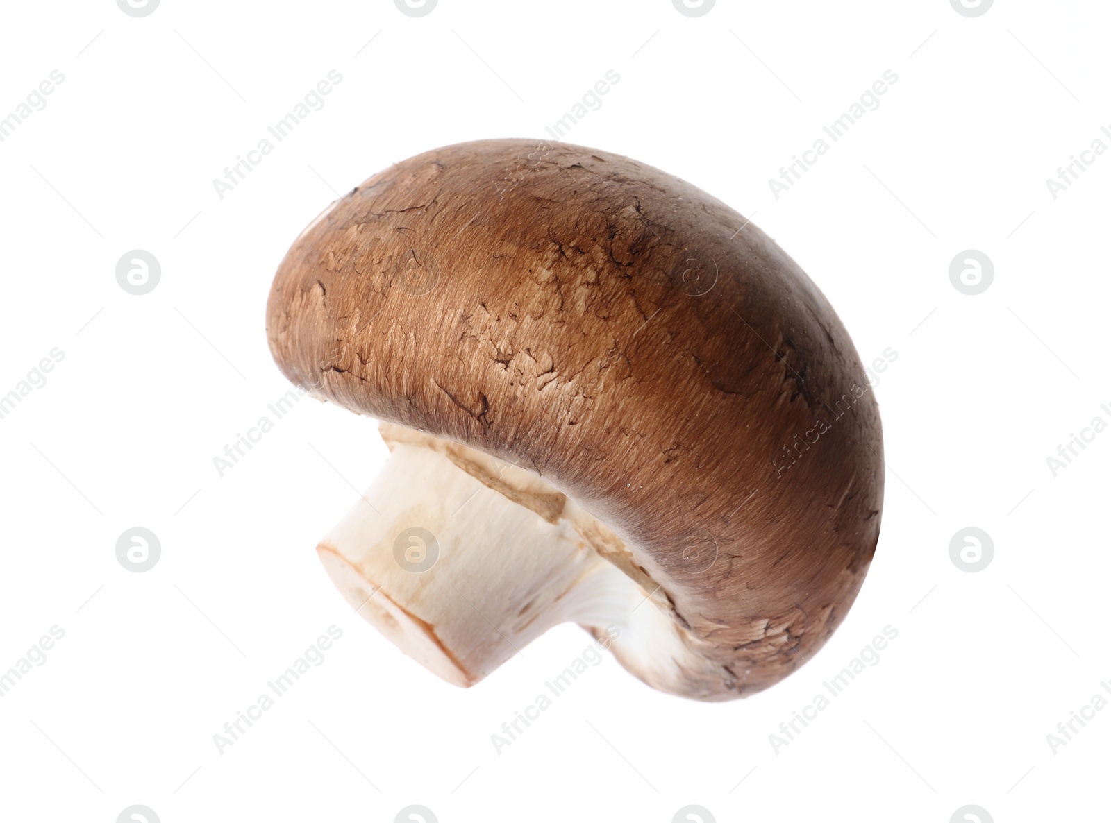 Photo of Fresh champignon mushroom isolated on white. Healthy food