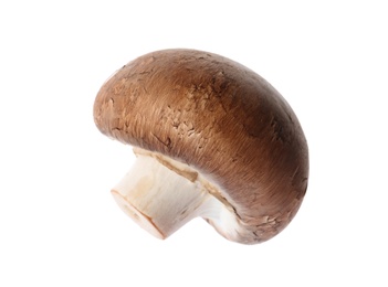 Photo of Fresh champignon mushroom isolated on white. Healthy food