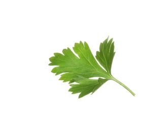 Photo of Fresh green organic parsley on white background