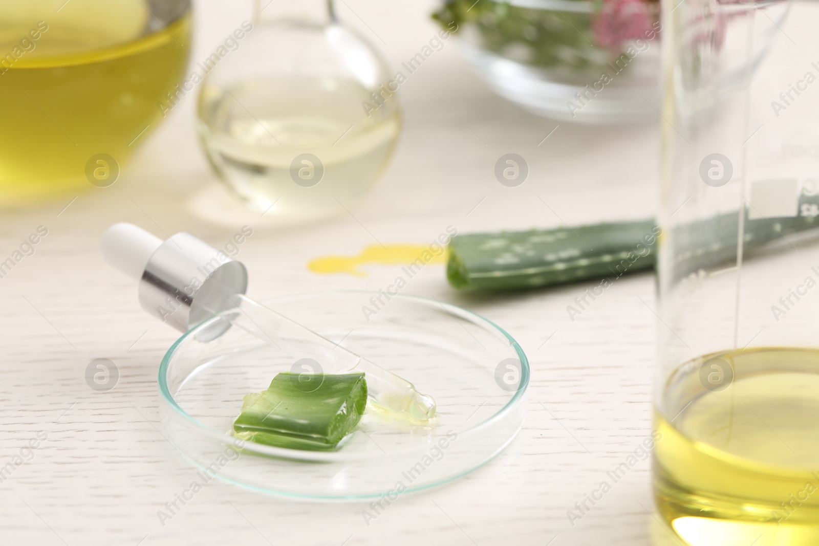 Photo of Developing cosmetic oil. Petri dish with aloe and dropper on white table,closeup