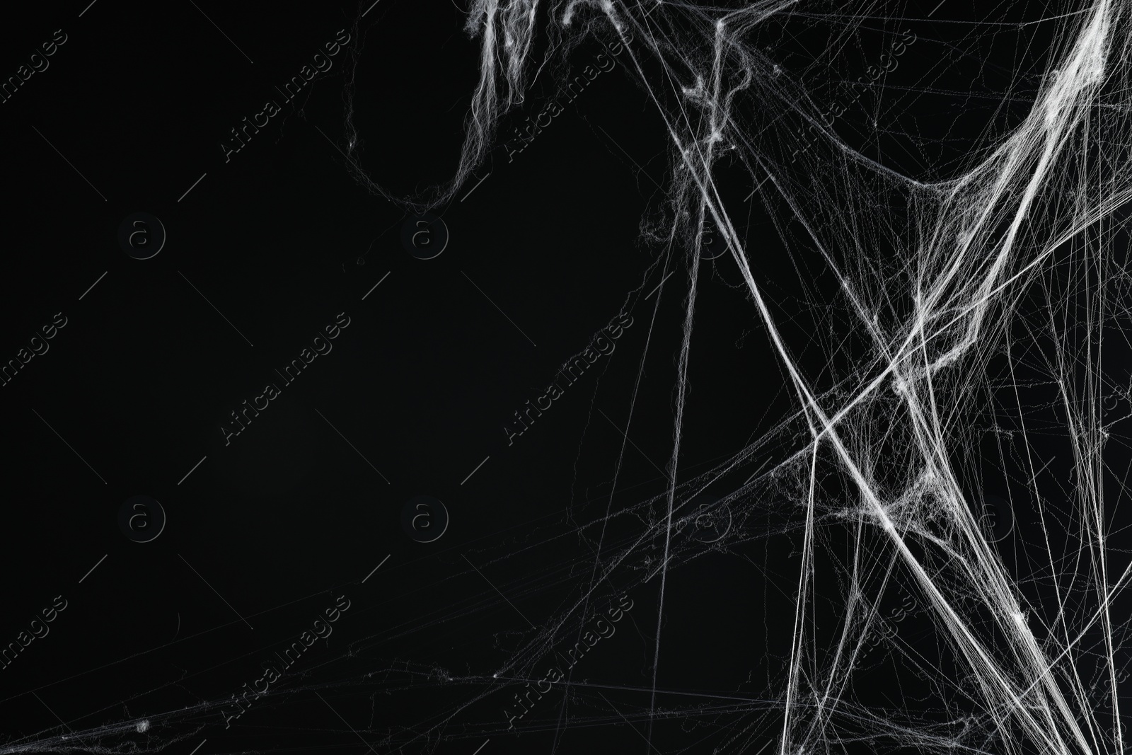 Photo of Creepy white spider web on black background