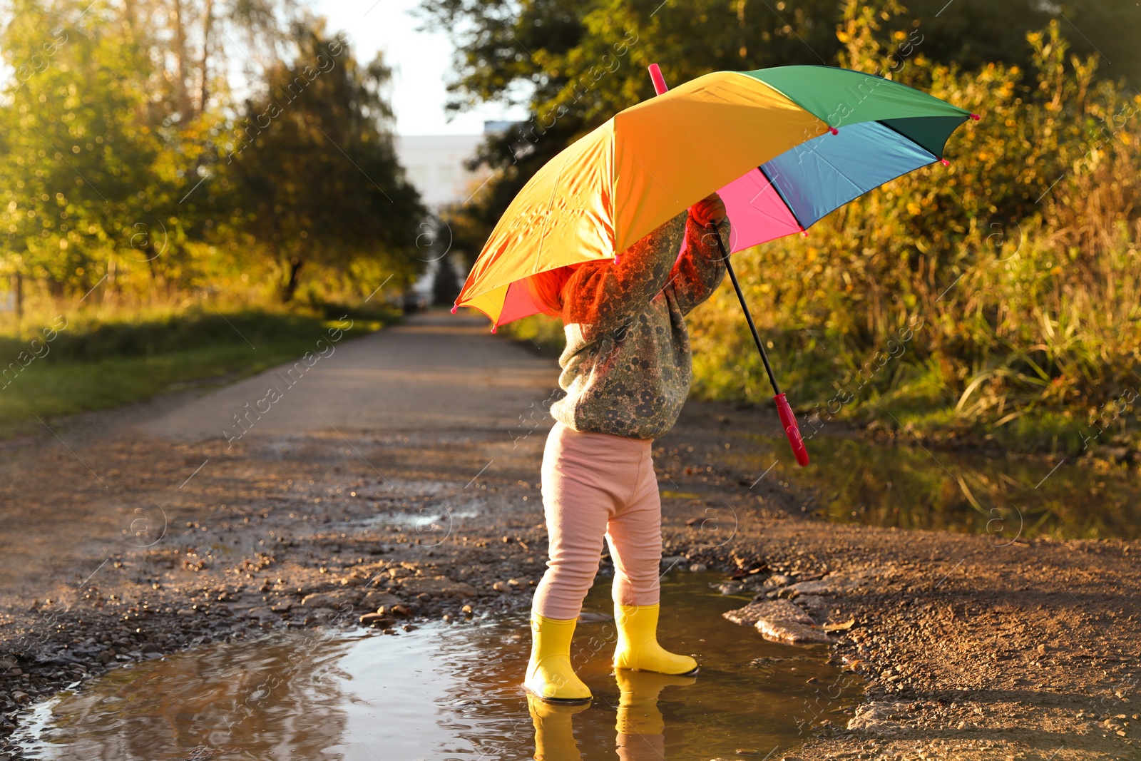 Photo of Little girl wearing rubber boots with colorful umbrella in puddle outdoors, space for text. Autumn walk