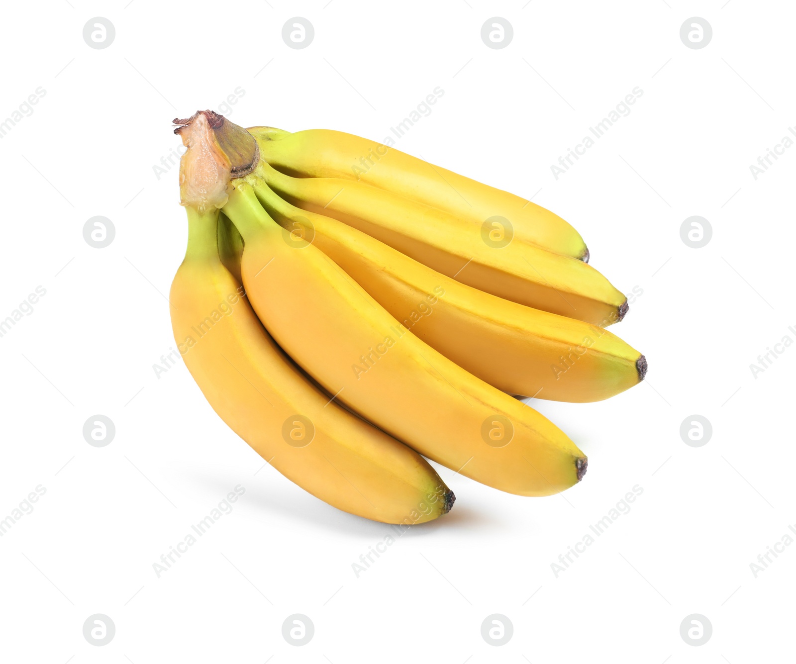 Photo of Bunch of ripe baby bananas on white background