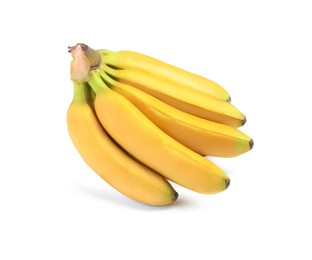 Bunch of ripe baby bananas on white background