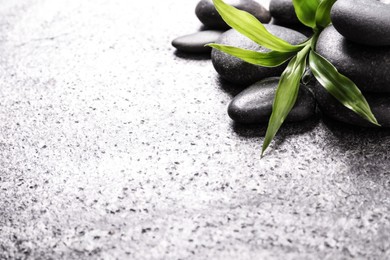 Spa stones and bamboo sprout on grey table, space for text