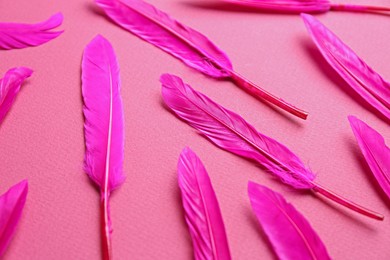 Photo of Bright beautiful feathers on pink background, closeup