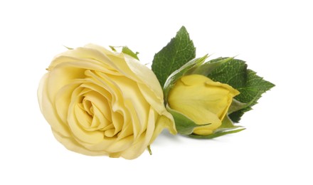 Photo of Beautiful fresh yellow roses with leaves isolated on white