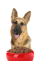 Cute German shepherd dog and feeding bowl on white background