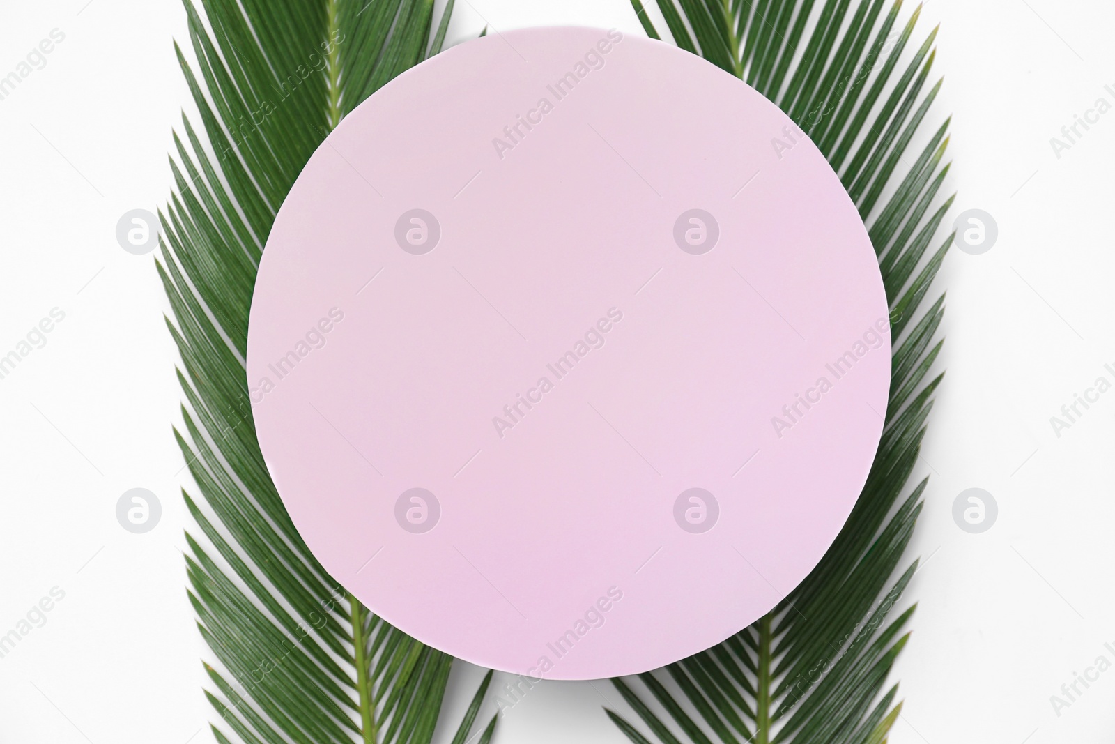 Photo of Beautiful composition with tropical leaves on light background, top view