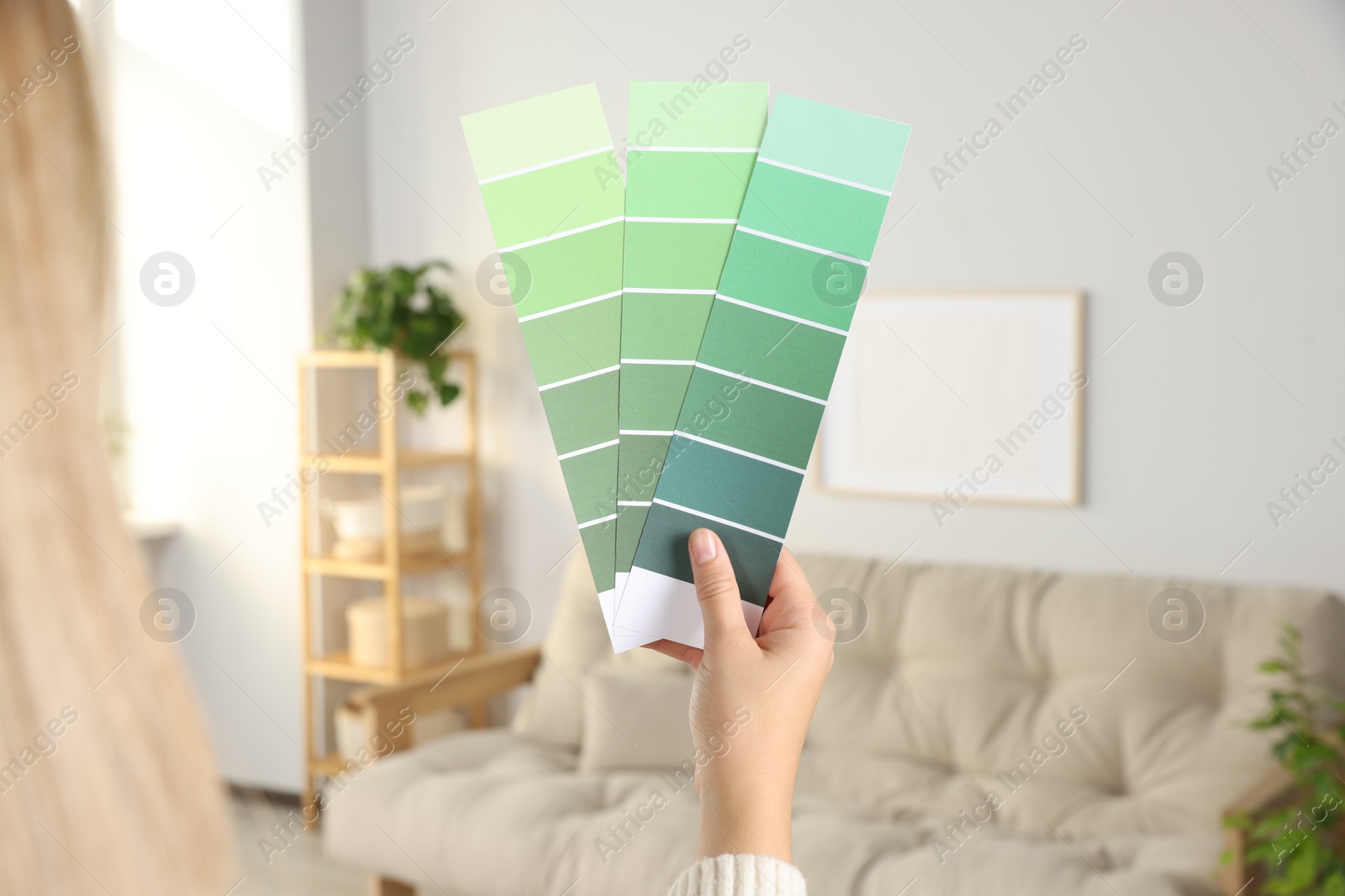 Photo of Woman choosing color for wall in room, focus on hand with paint chips. Interior design