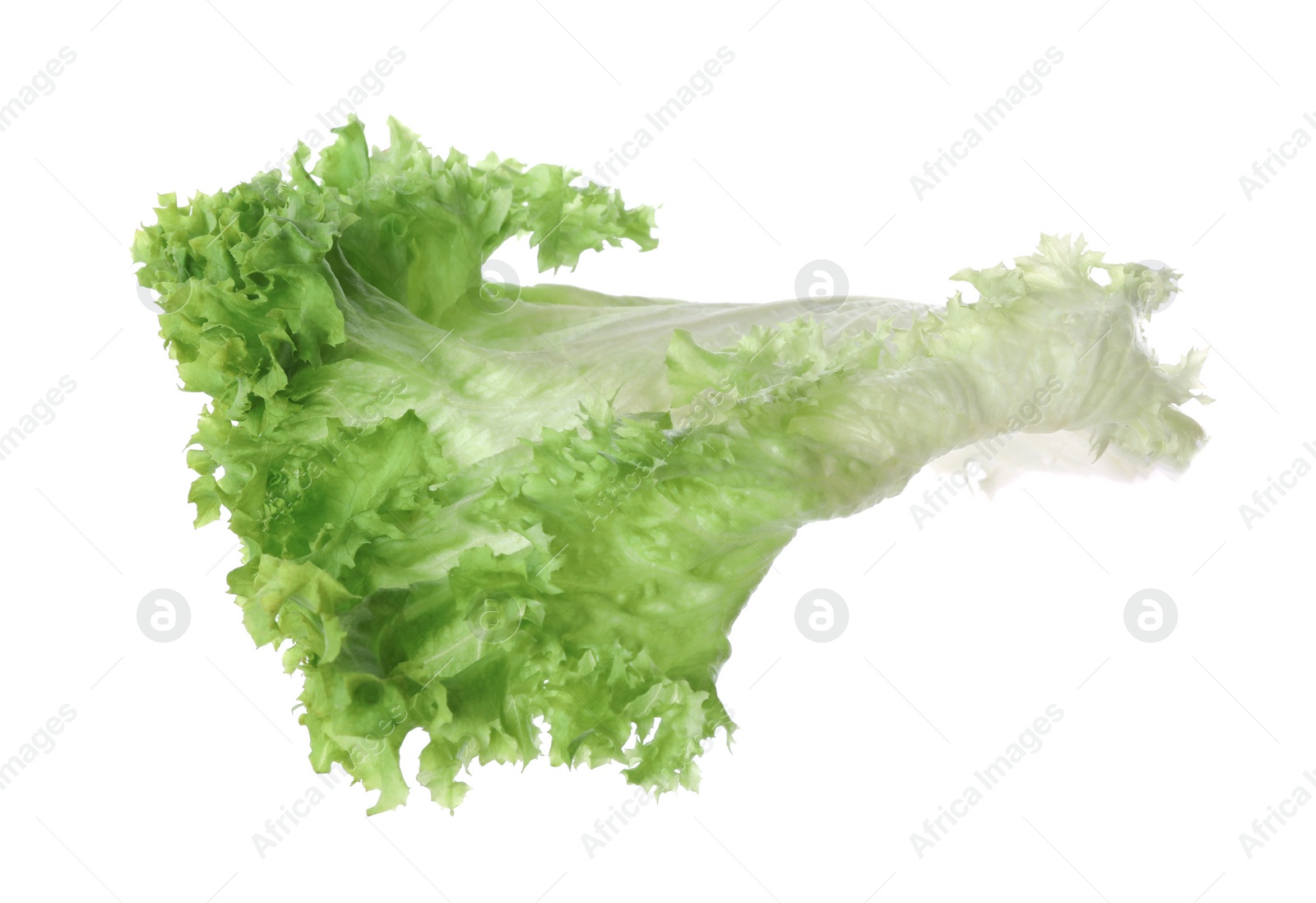 Photo of Fresh green lettuce leaf isolated on white