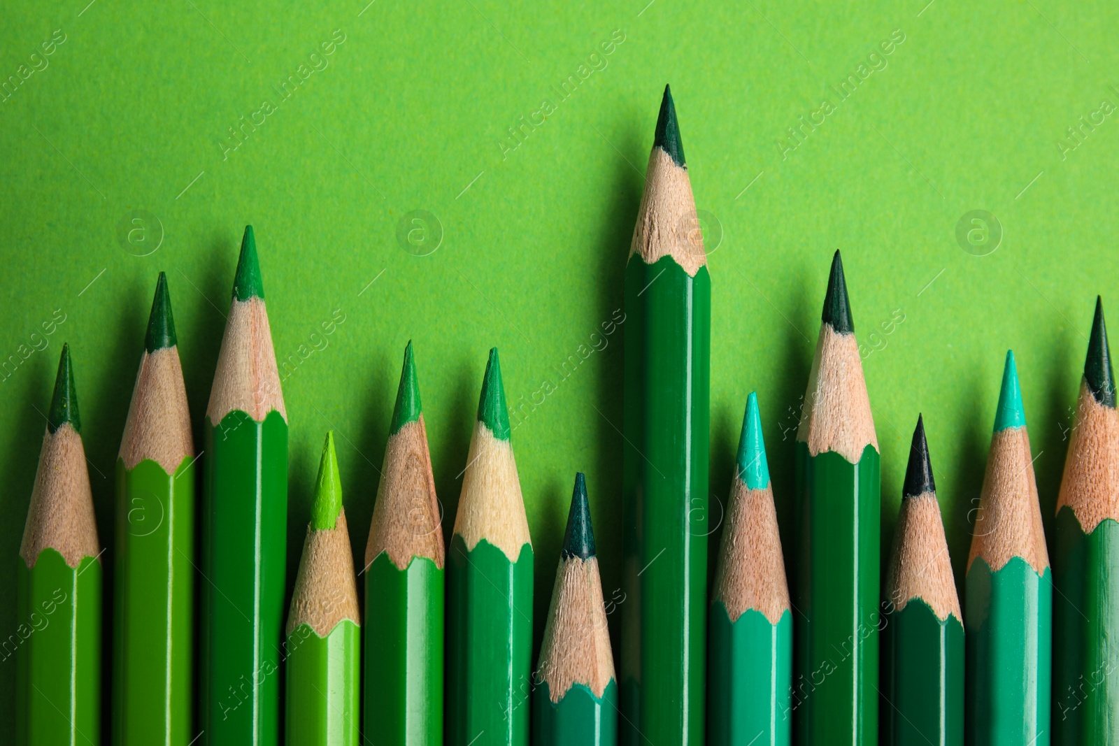 Photo of Flat lay composition with color pencils on green background