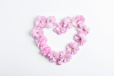 Heart made with sakura blossom on white background, top view. Japanese cherry