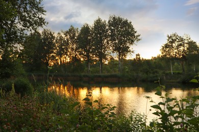 Photo of Picturesque view of countryside with river in morning