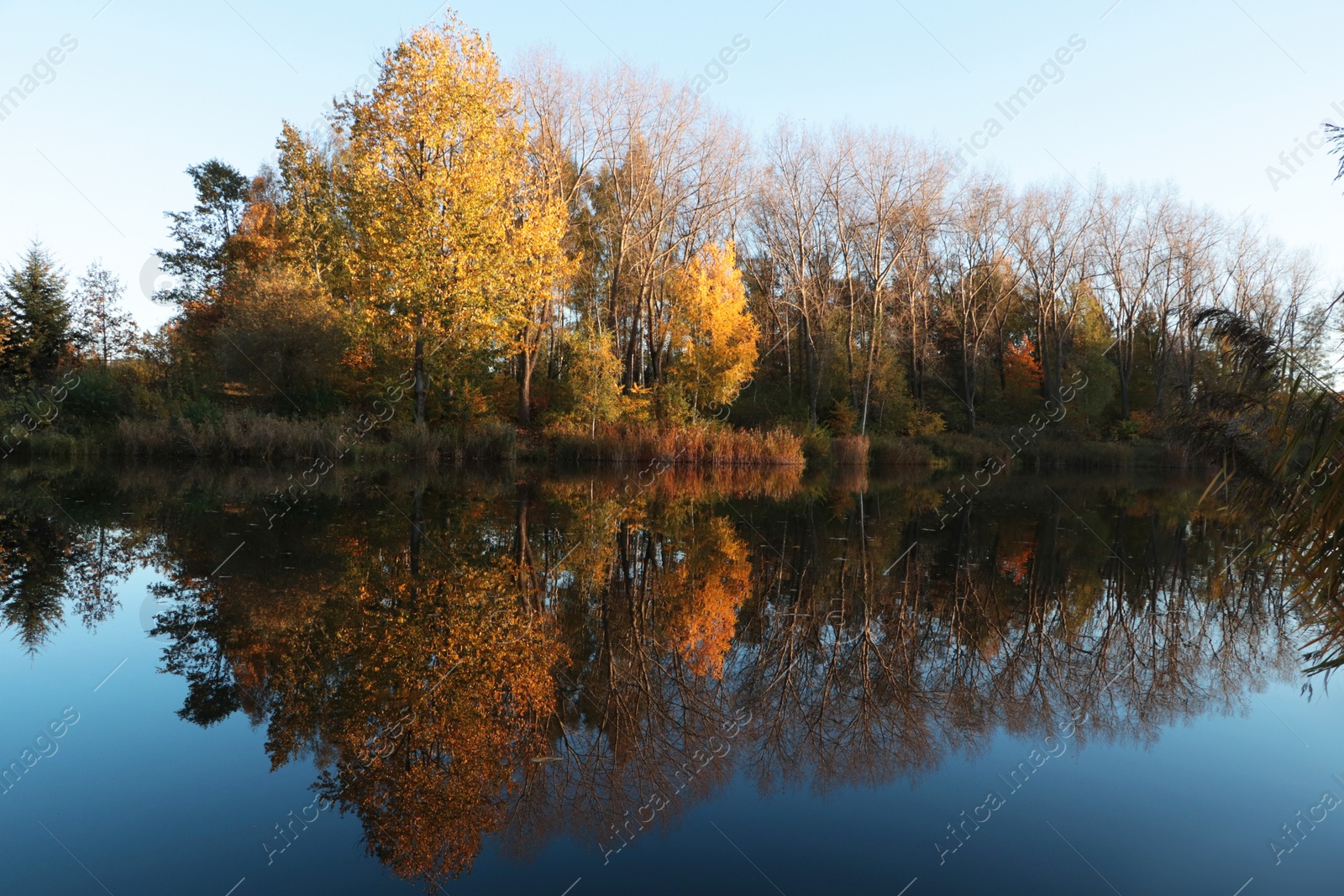 Photo of Picturesque view of lake and trees on autumn day