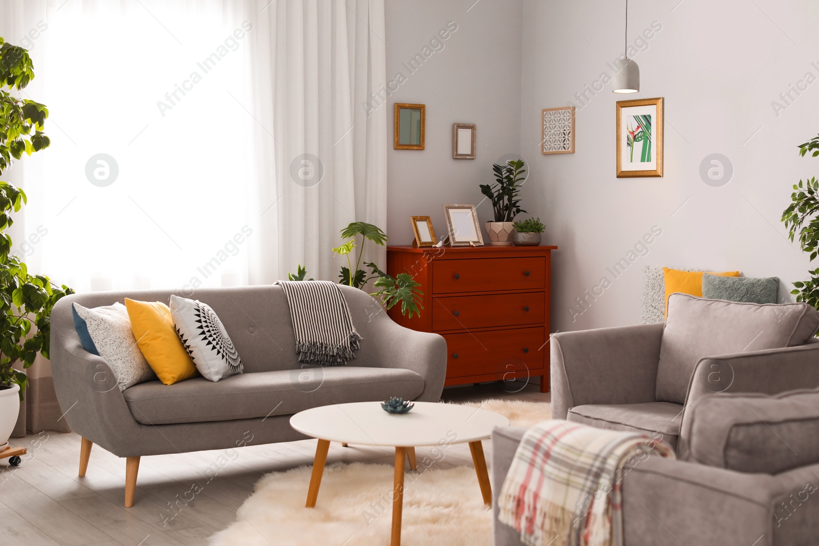 Photo of Elegant living room interior with comfortable sofa and armchairs