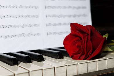 Photo of Beautiful red rose and musical notes on piano, closeup. Space for text