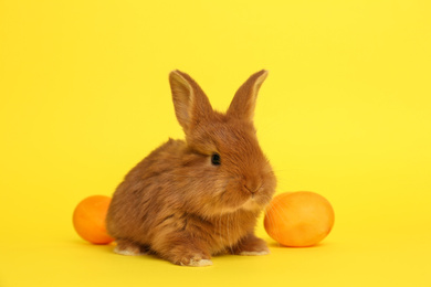 Photo of Adorable fluffy bunny and Easter eggs on yellow background