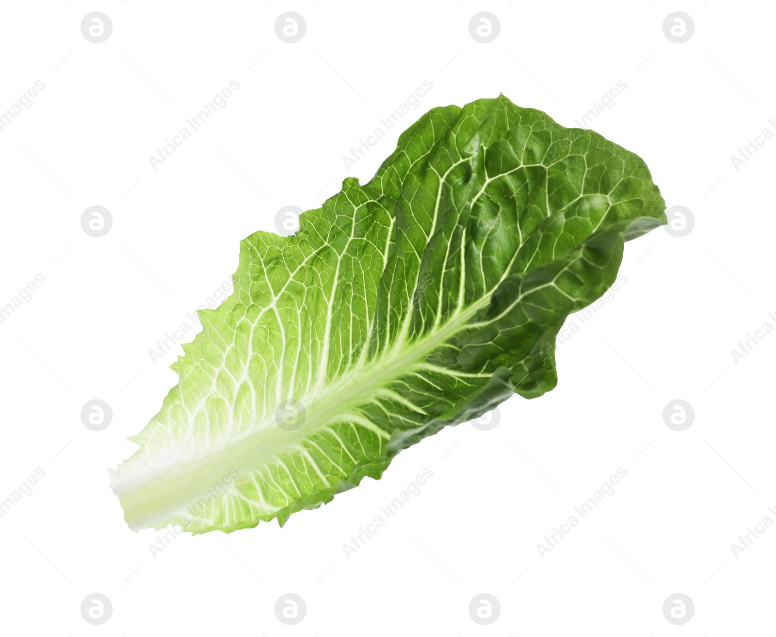 Photo of Fresh leaf of green romaine lettuce isolated on white