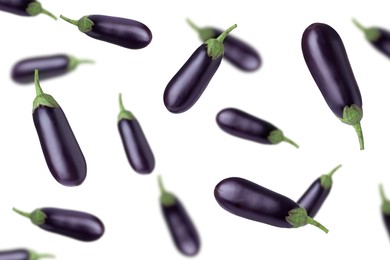 Fresh whole eggplants falling on white background