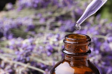 Photo of Natural essential oil dripping from pipette into bottle against lavender flowers, closeup. Space for text