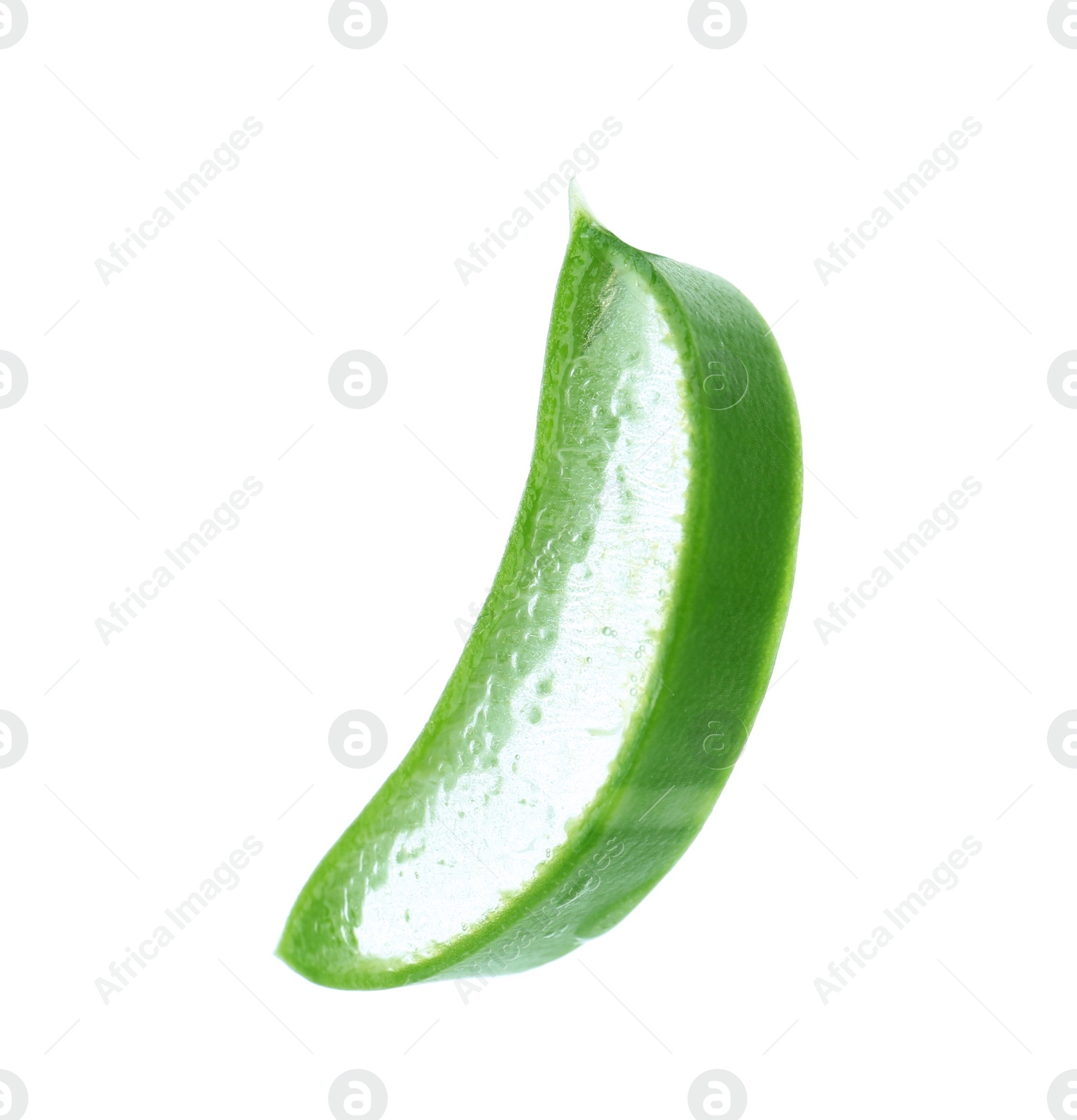 Photo of Aloe vera slice on white background