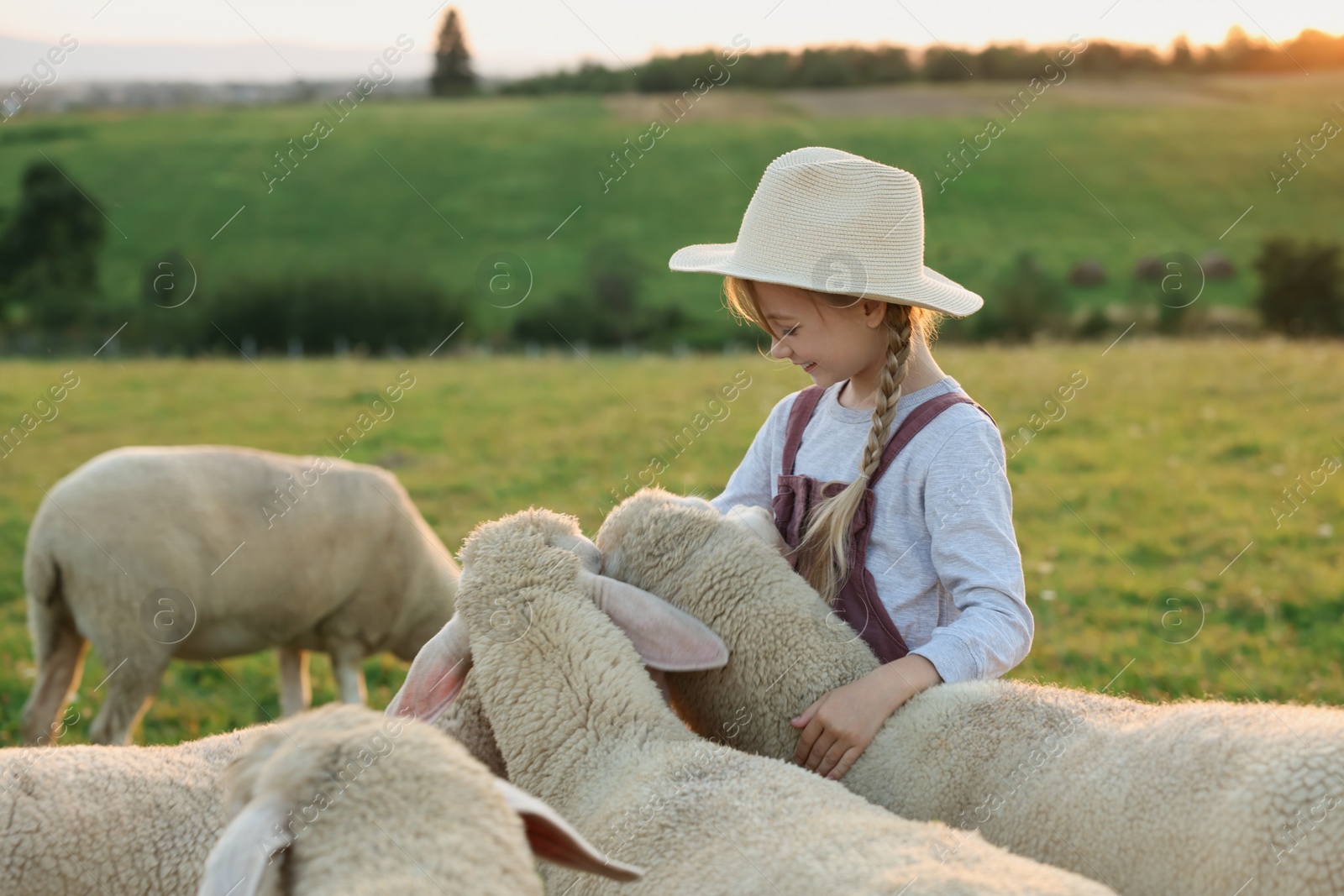 Photo of Girl with sheep on pasture. Farm animals