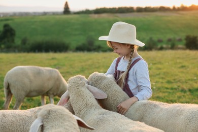 Photo of Girl with sheep on pasture. Farm animals
