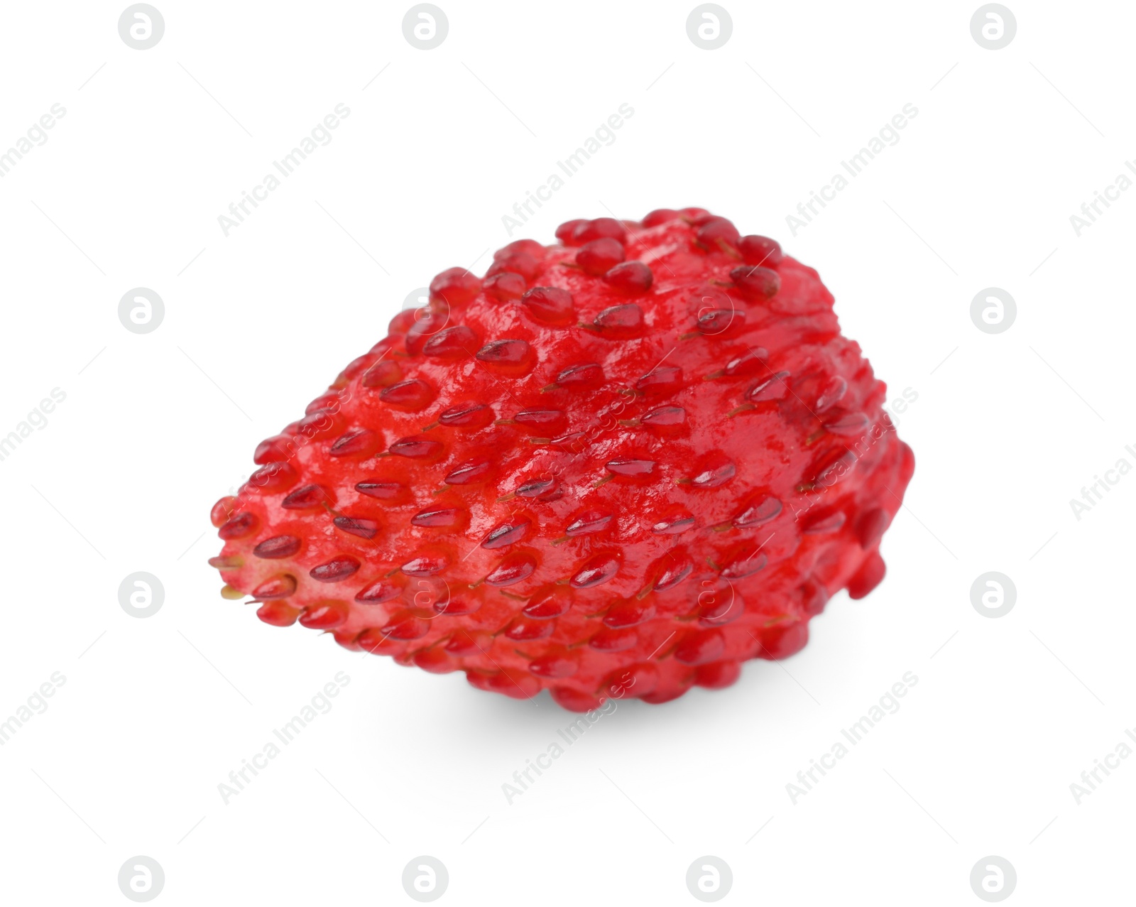 Photo of One ripe wild strawberry isolated on white