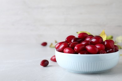 Photo of Fresh ripe dogwood berries in bowl on light grey table. Space for text