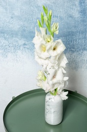 Photo of Vase with beautiful gladiolus flowers on table against color background