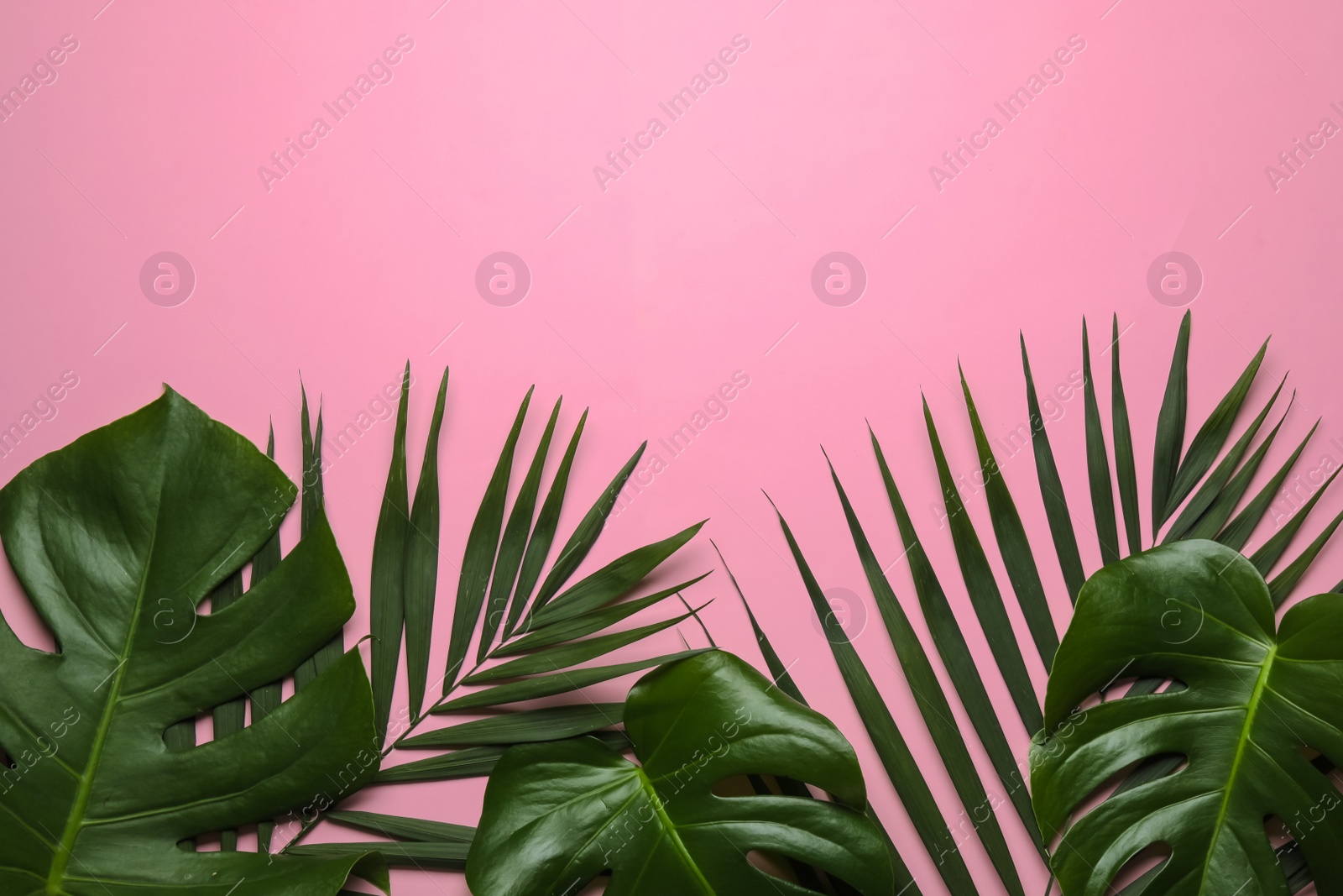 Photo of Flat lay composition with tropical leaves and space for text on color background