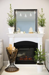 Photo of Little fir trees and Christmas decorations in room. Stylish interior design