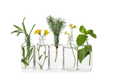 Photo of Glass bottles of different essential oils with plants on white background