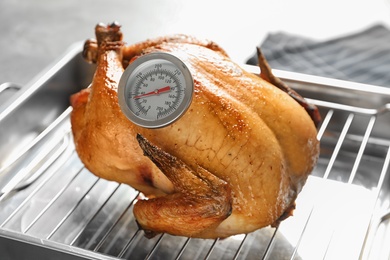 Roasted turkey with meat thermometer on baking rack