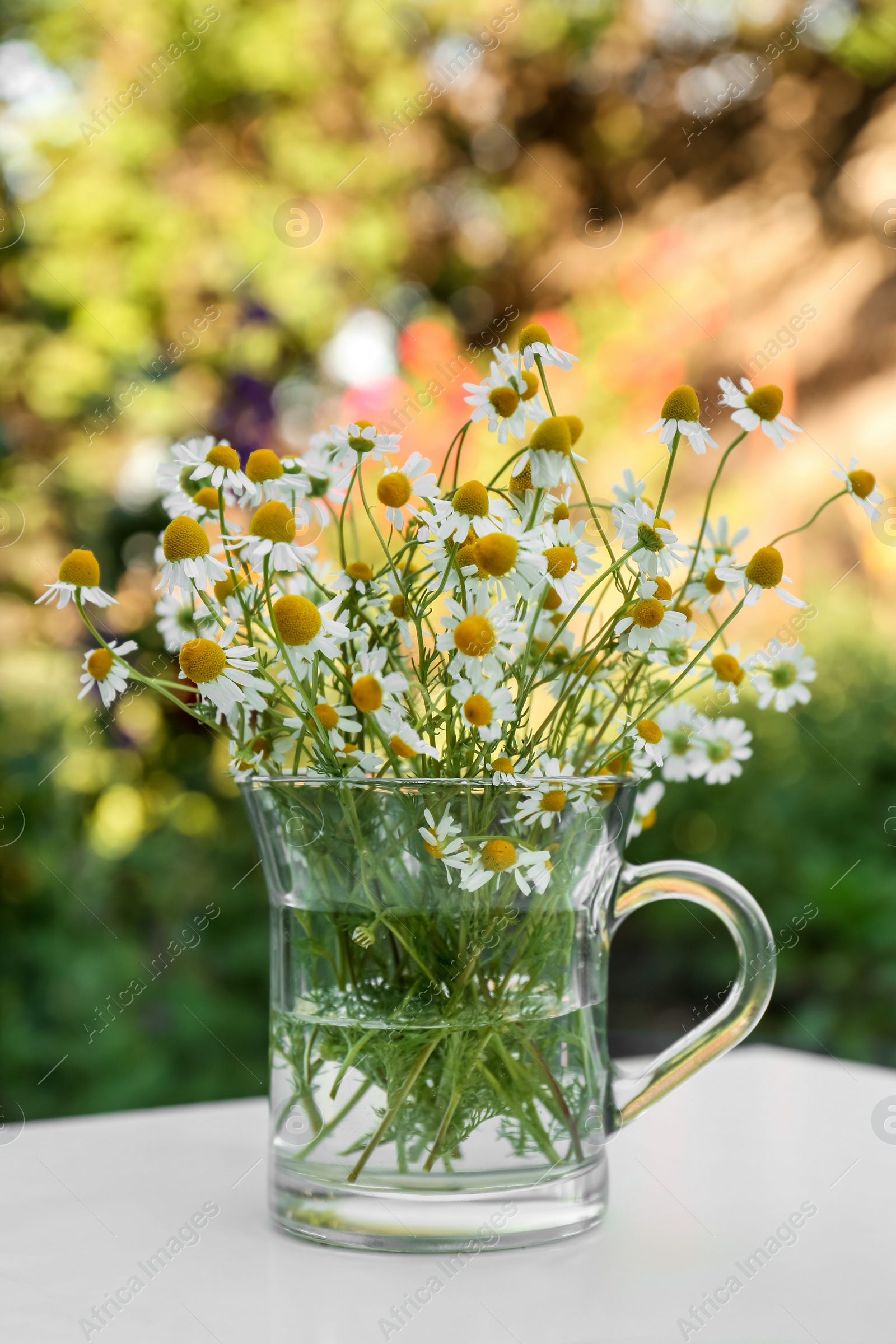 Photo of Beautiful bouquet of chamomiles in glass cup on white table outdoors